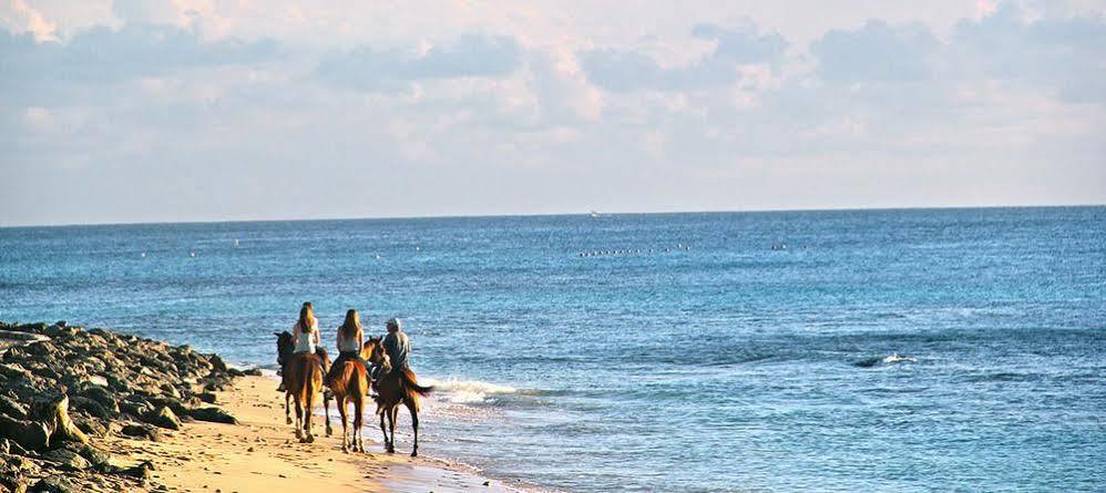 Tropical Sunset Beach Apartment Hotel Saint James Buitenkant foto